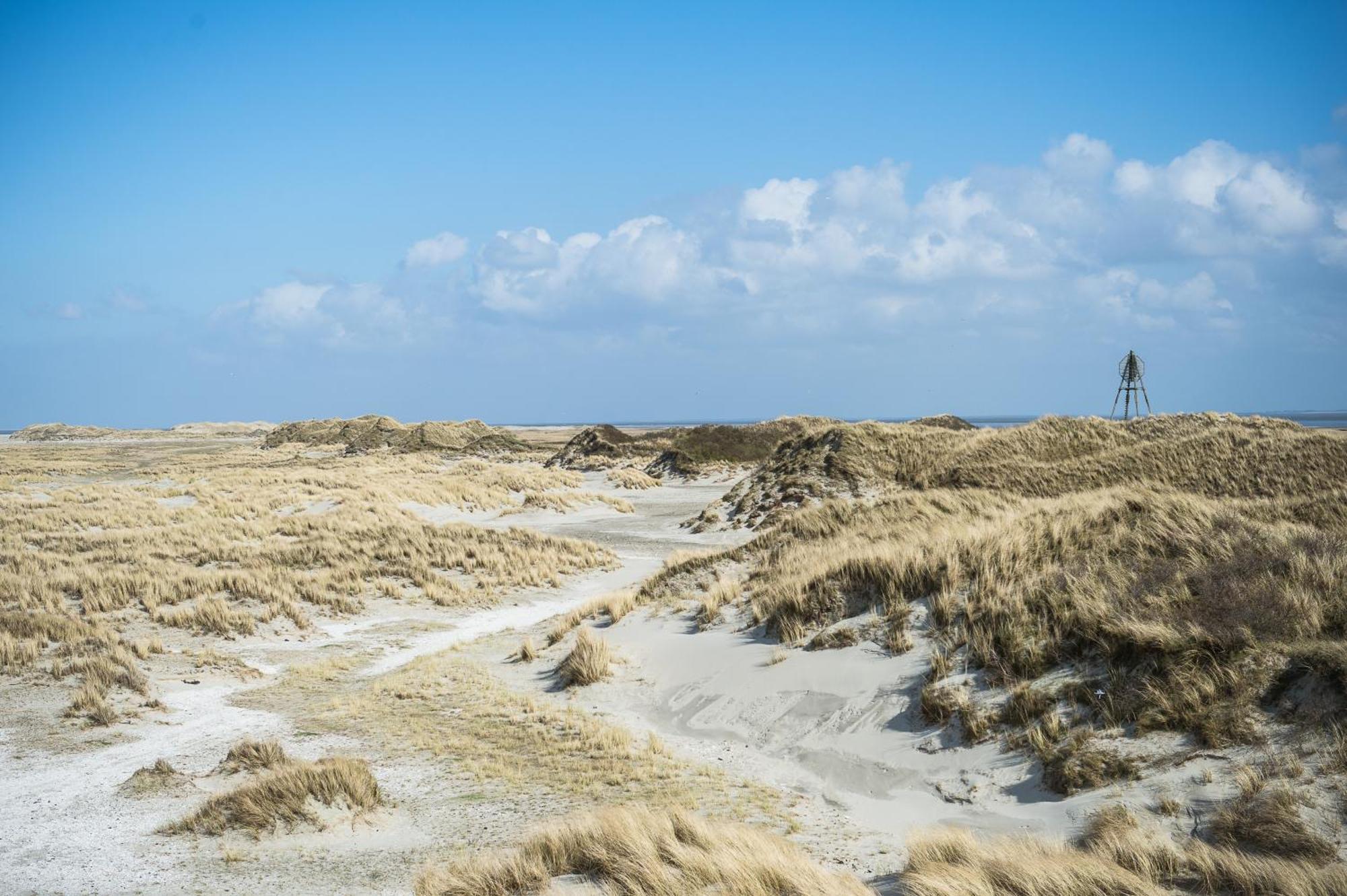 Vakantiepark Klein Vaarwater Buren  Zewnętrze zdjęcie